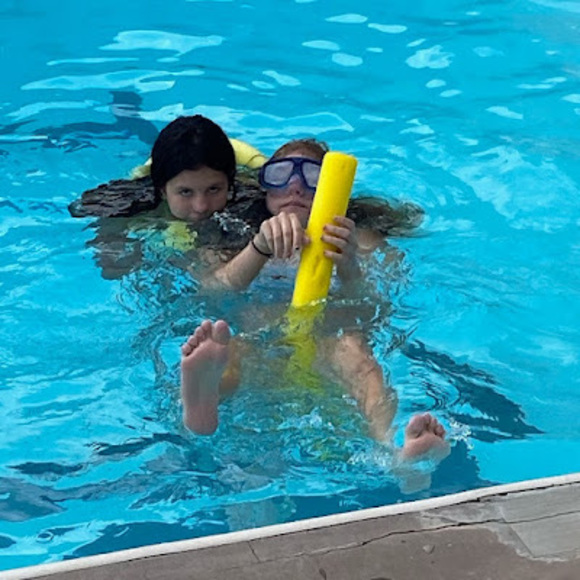 Meet your Posher, Sophie - Picture 1 of 1